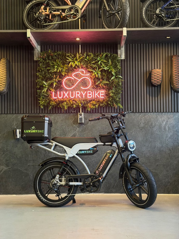 V29 Pro Delivery Fatbike Dubbel Batterij