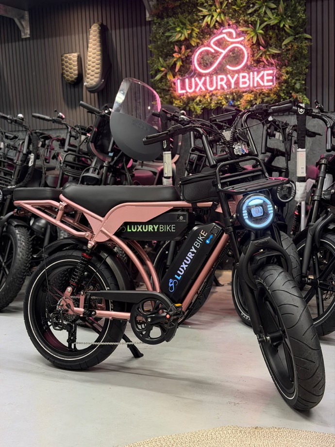 V29 Pro Rose Gold Dubbel Accu