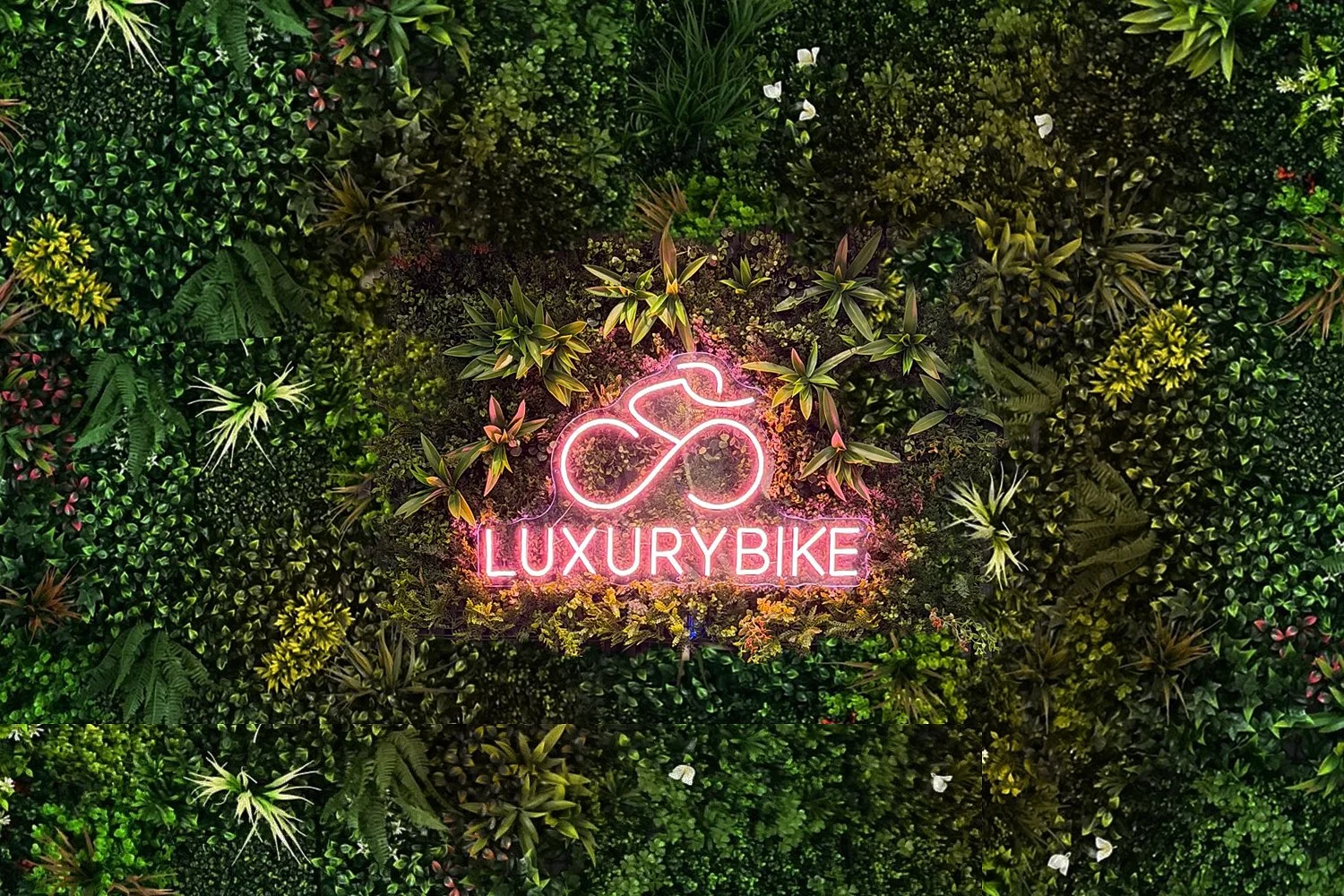 Luxury Bike Showroom