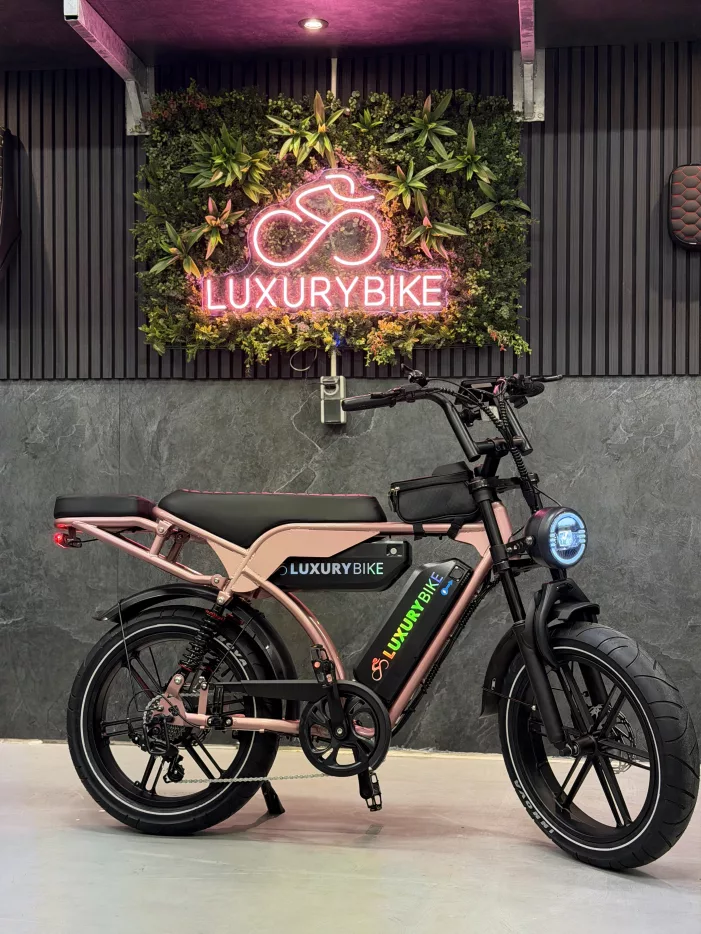 V29 pro dubbele accu Rose Gold